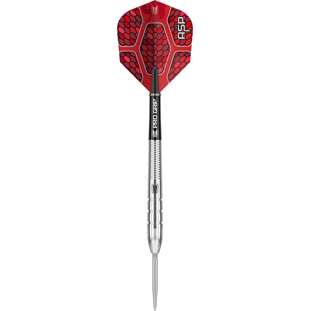 Target Nathan Aspinall 90% G1 Swiss Point – 24g
