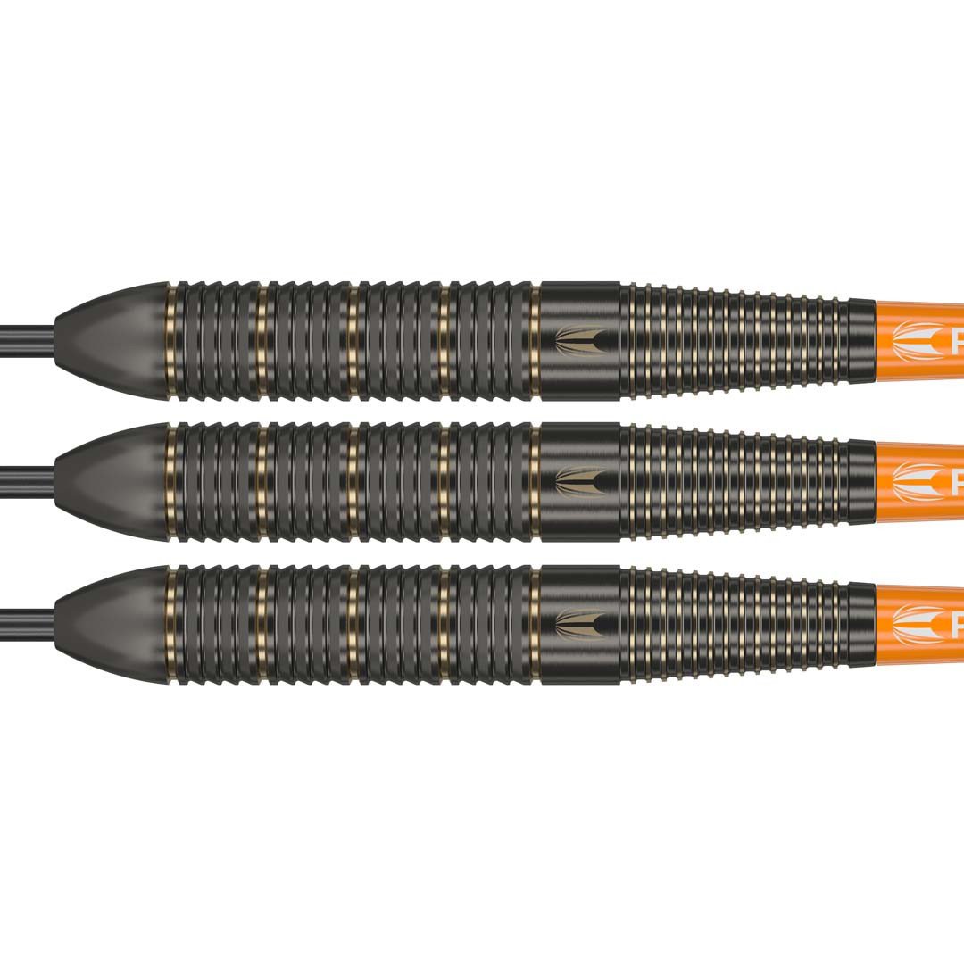 Target Raymond van Barneveld Brass - 22g