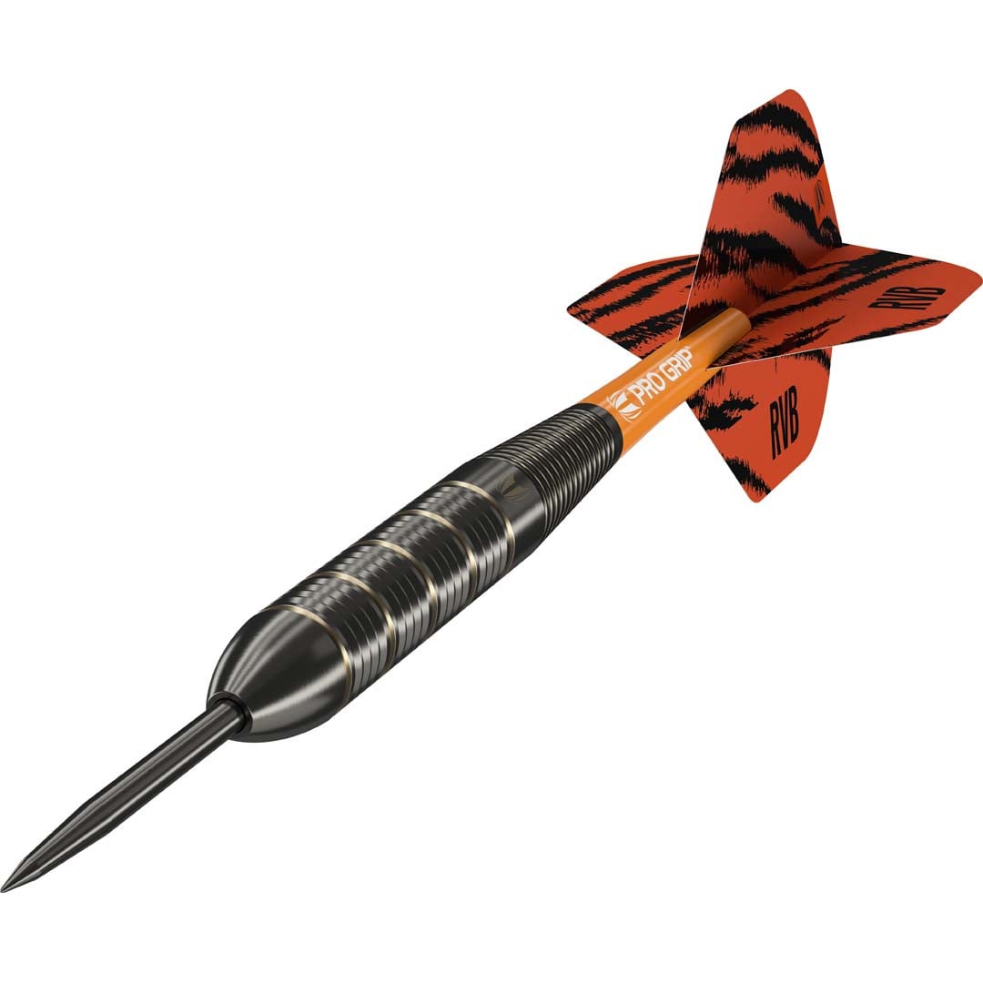 Target Raymond van Barneveld Brass - 22g