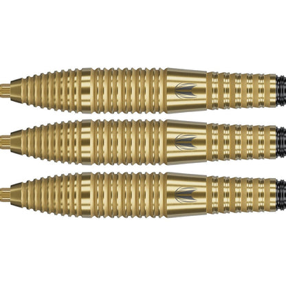 Target Bolide Envy 05 90% Tungsten Dartpiler