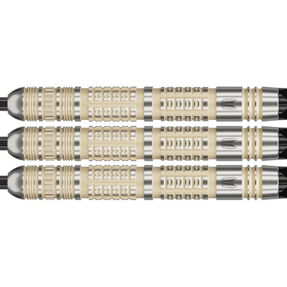 Target Dimitri van den Bergh 95K Dartpil 95% Tungsten 