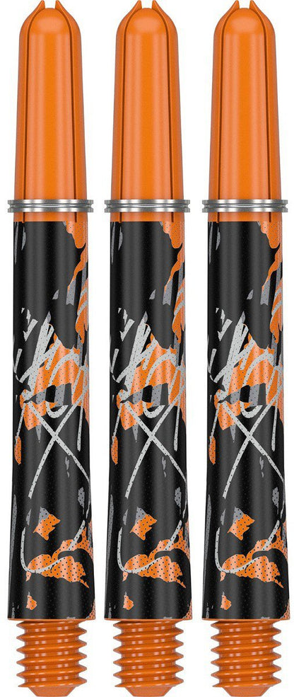 Target Pro Grip Icon Raymond van Barneveld - In Between
