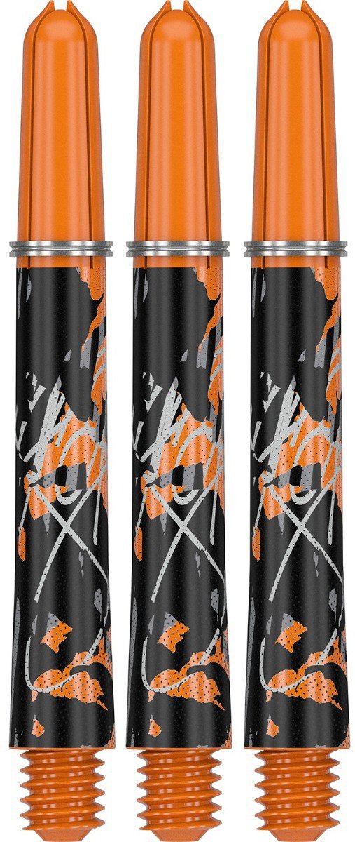 Target Pro Grip Icon Raymond van Barneveld - In Between