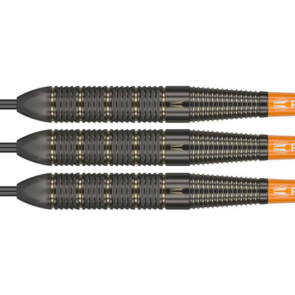 Target Raymond van Barneveld Brass - 22g
