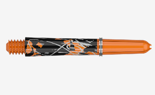 Target Pro Grip Icon Raymond van Barneveld - In Between